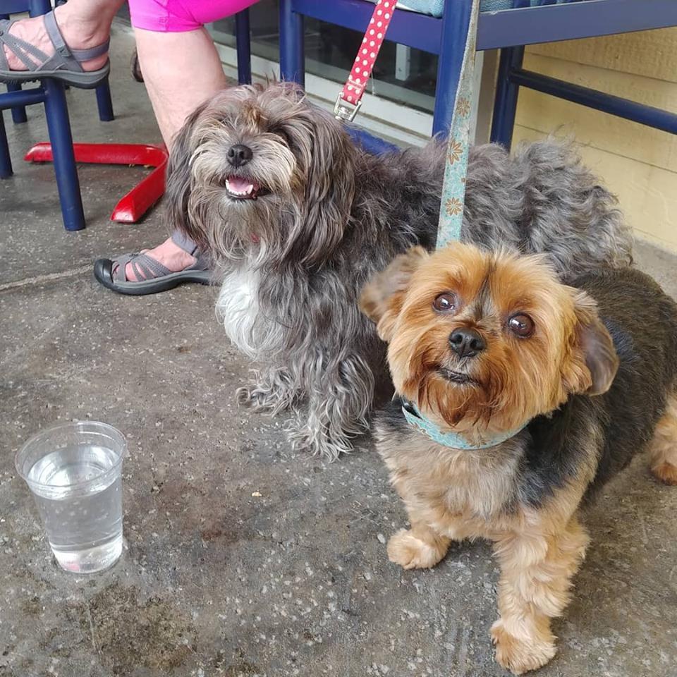 Pet Friendly Canyon Grill and Alehouse