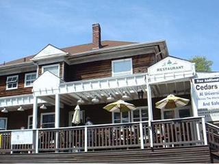 Cedars Restaurant Is Pet Friendly