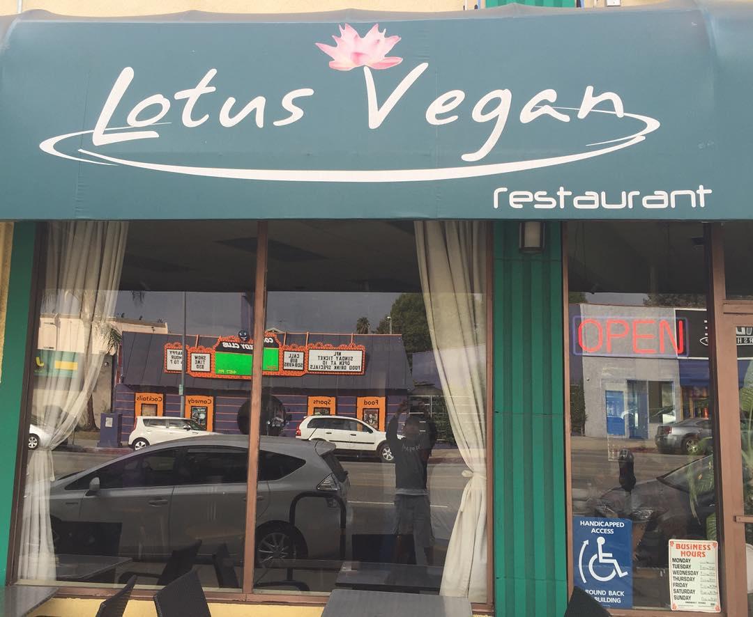 Pet Friendly Lotus Vegan