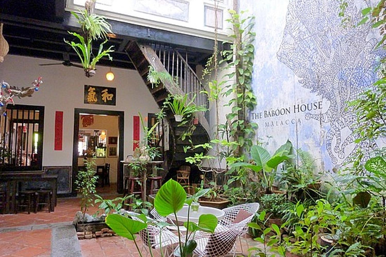 The Baboon House Is Pet Friendly