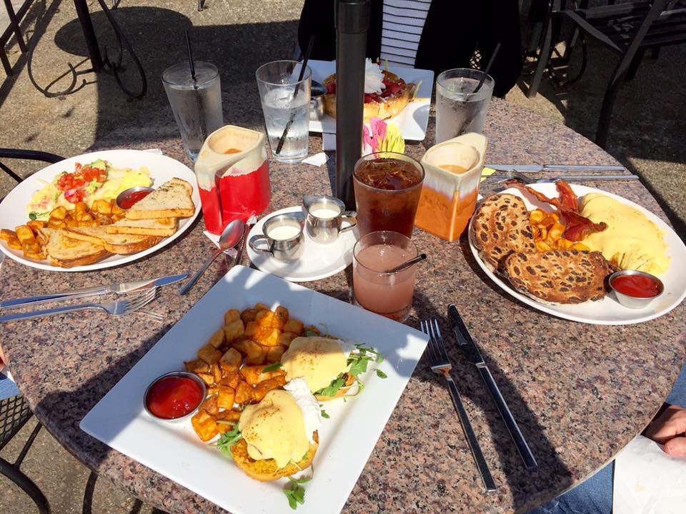 Dog Friendly Restaurants In Norfolk Va Bringfido Dog Friendly Restaurants In Norfolk Va Bringfido