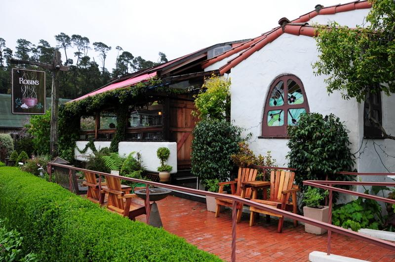 Get Moonstone Beach Bar And Grill Dog Friendly Pictures