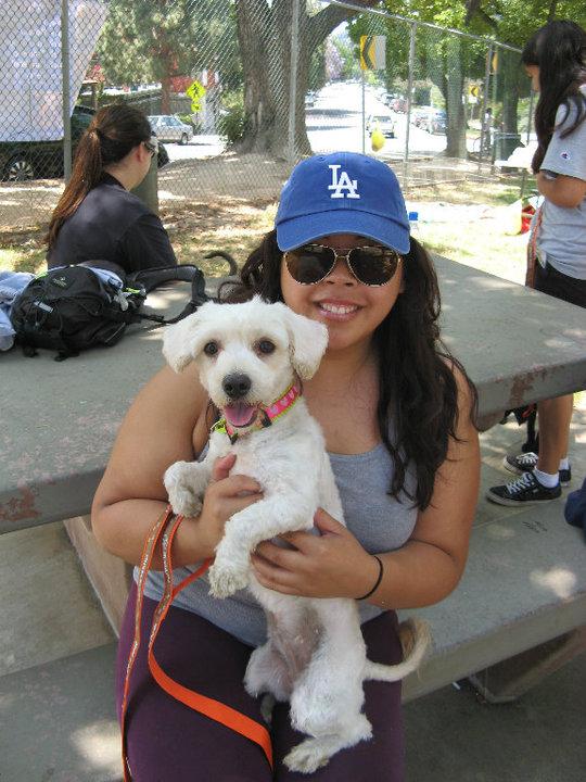 generic sentinel spectrum