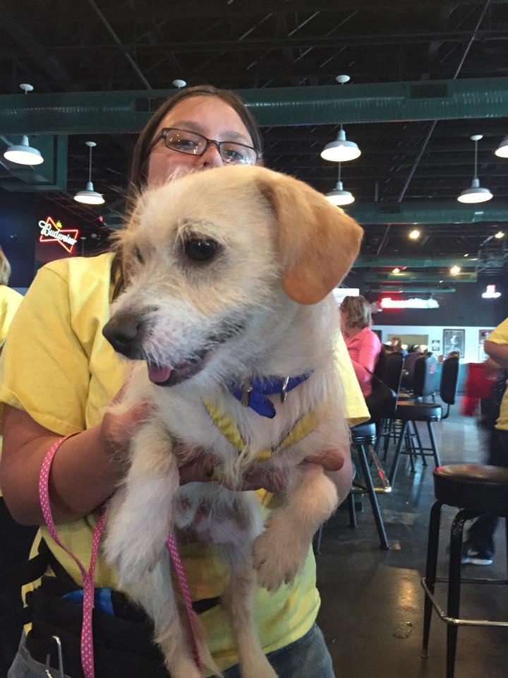 Bully's Sports Bar & Grill Is Pet Friendly