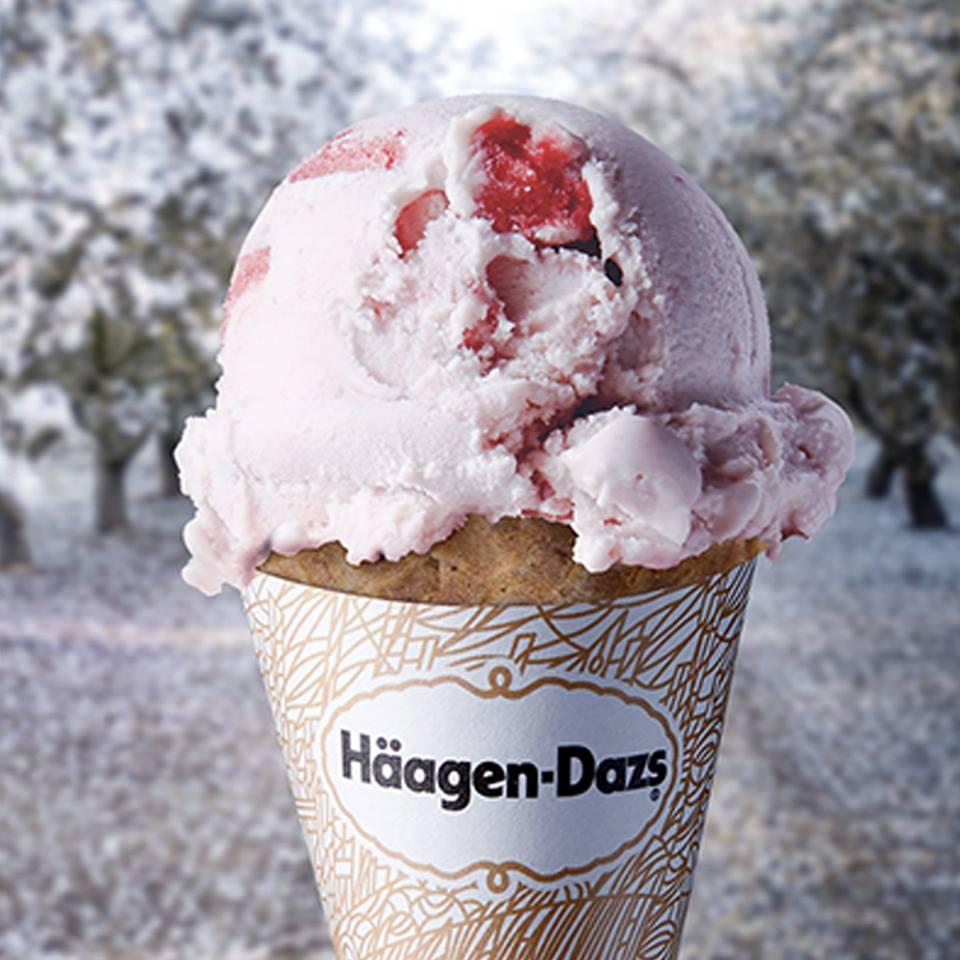 Pet Friendly Haagen-Dazs Ice Cream