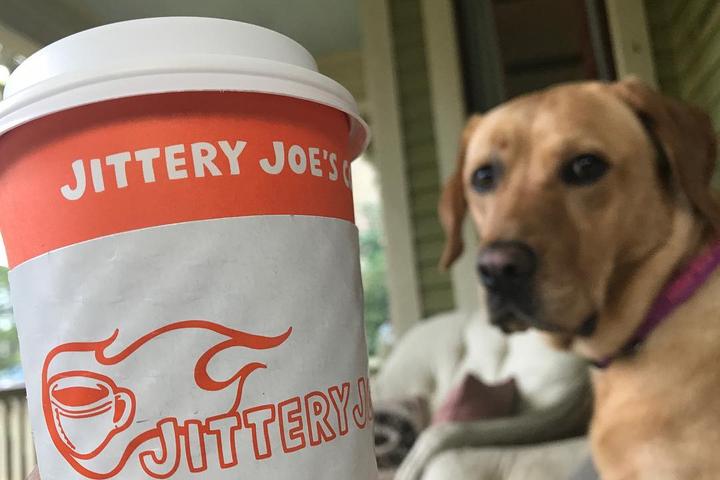 Pet Friendly Jittery Joe's Coffee