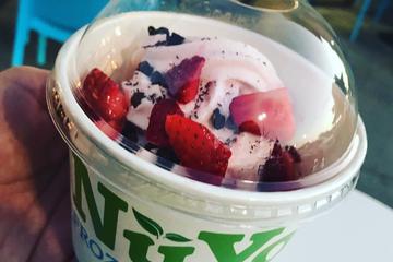 Nuyo Frozen Yogurt Is Pet Friendly