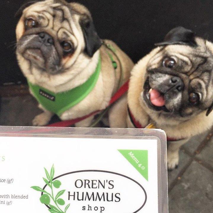 Oren S Hummus Shop Is Pet Friendly