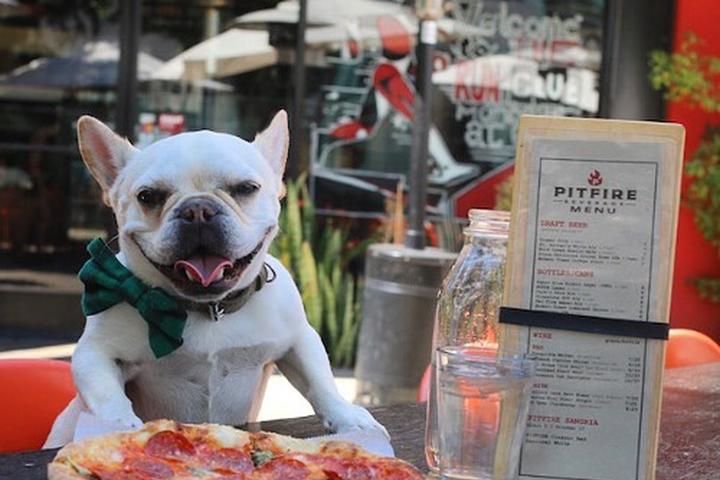 Pet Friendly Pitfire Artisan Pizza