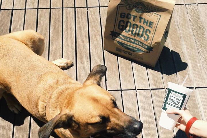 Pet Friendly Wingstop