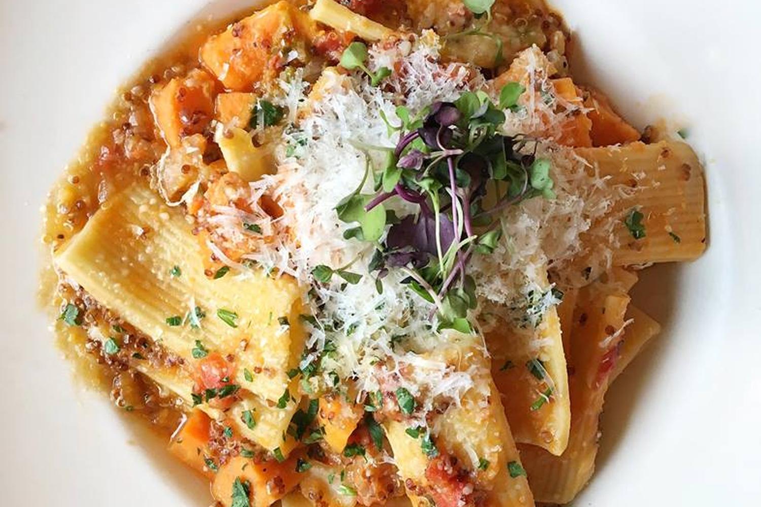 Beatrix Is Pet Friendly Beatrix Is Pet Friendly