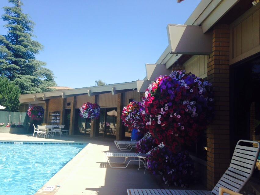 Dog Friendly Restaurants In Spokane Valley Wa Bringfido