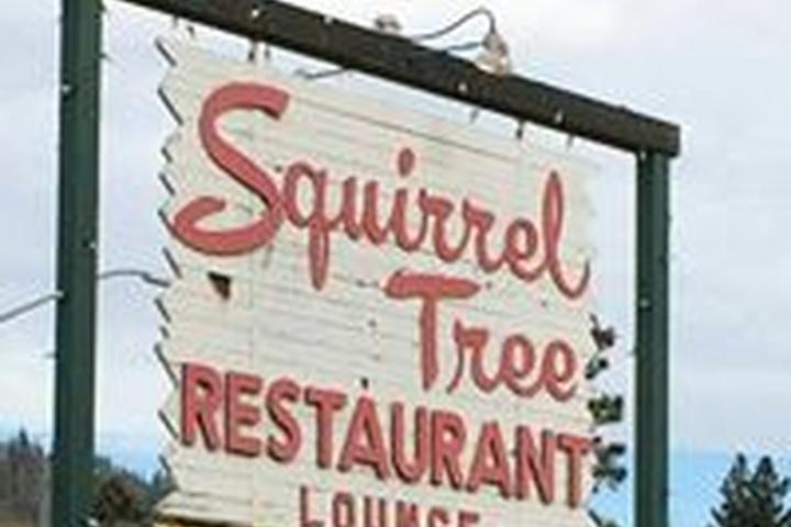 Pet Friendly Squirrel Tree Restaurant