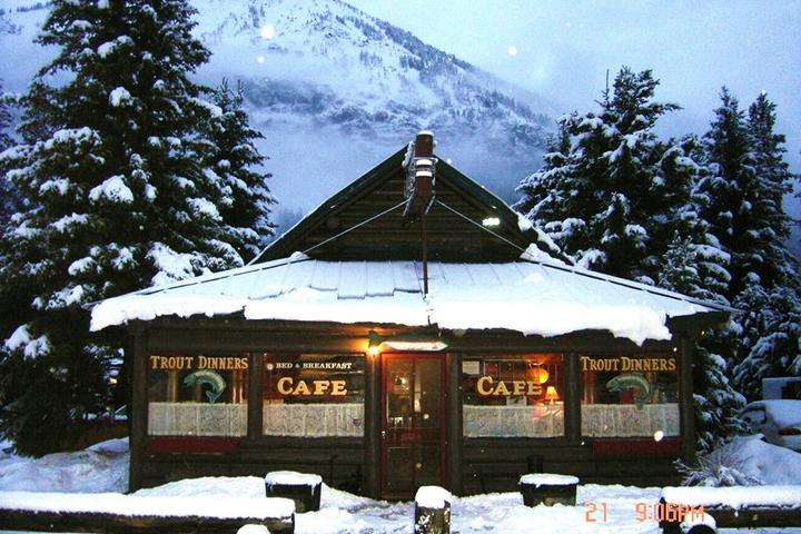 Pet Friendly Log Cabin Cafe