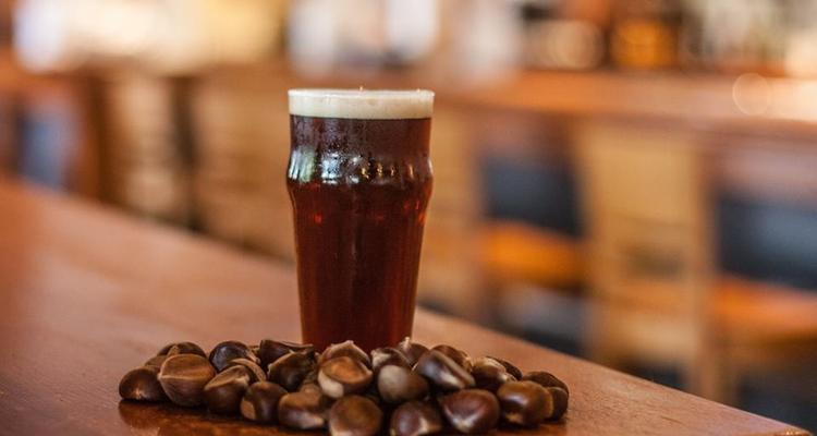 Schlafly Tap Room Is Pet Friendly