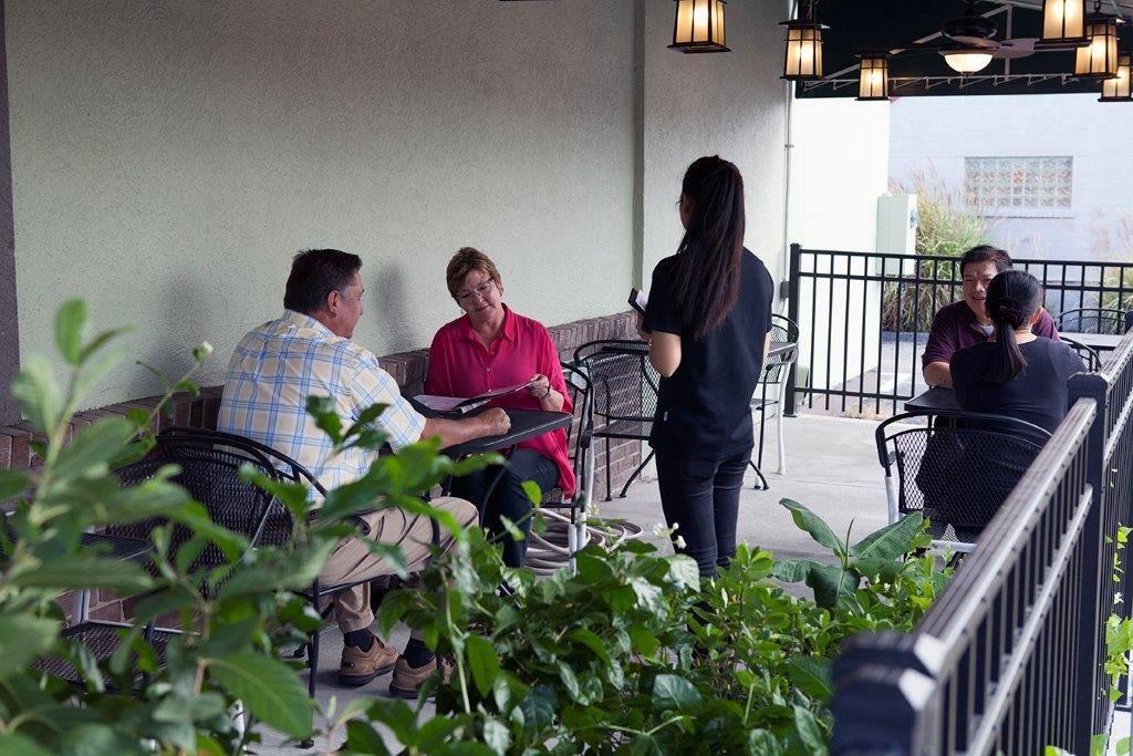 Green Papaya Mariemont Is Pet Friendly