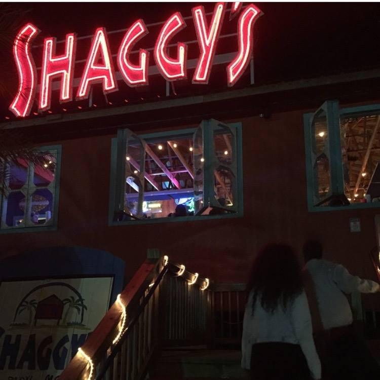 Shaggy's Gulfport Beach Is Pet Friendly