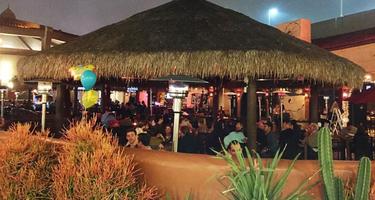 Get La Vida Cantina Is Pet Friendly For iPhone Free Wallpaper La Vida Cantina Is Pet Friendly For iPhone