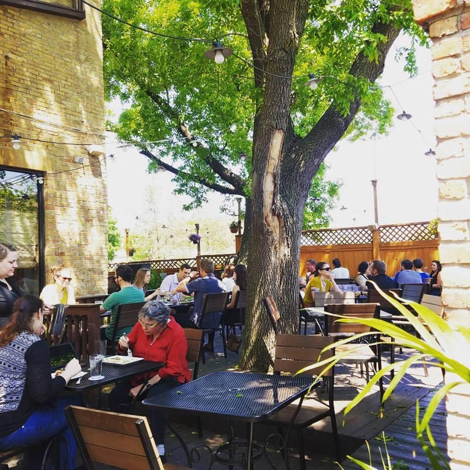 Pet Friendly The Gnome Craft Pub