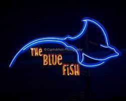 Pet Friendly The Blue Fish