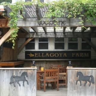 Ellacoya Barn Grille Is Pet Friendly