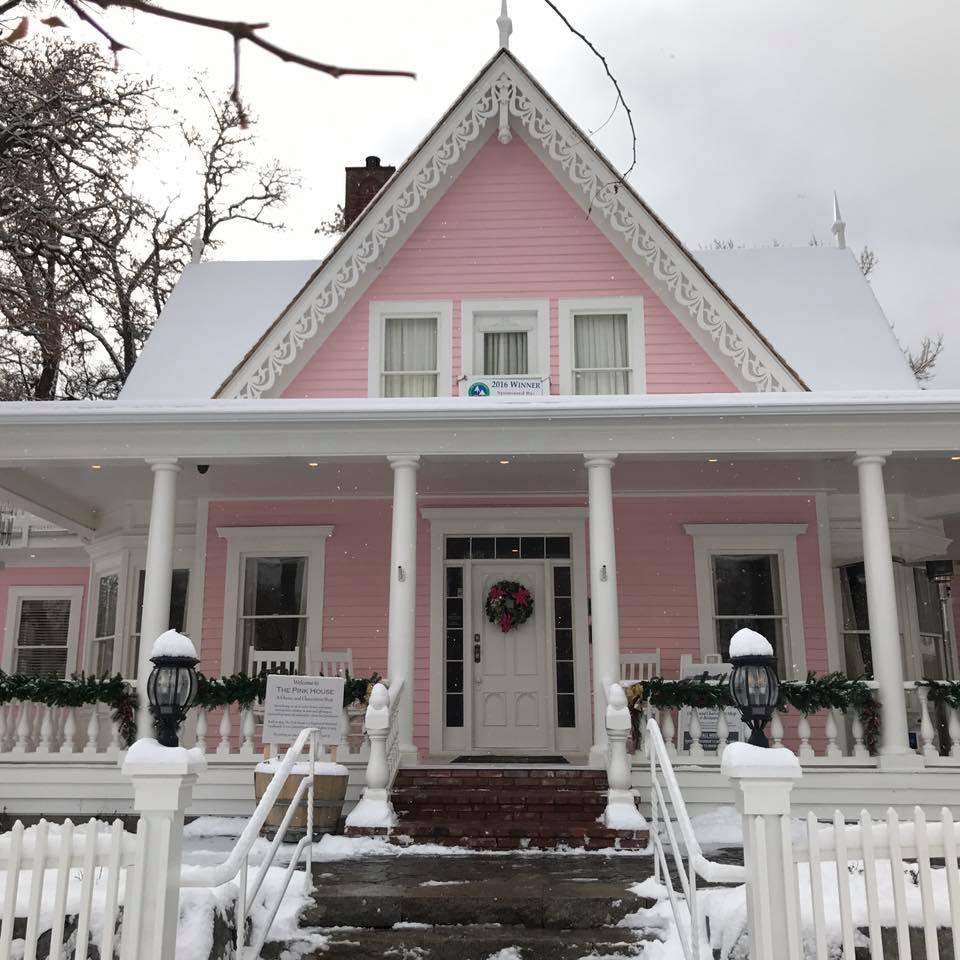 Pet Friendly Pink House