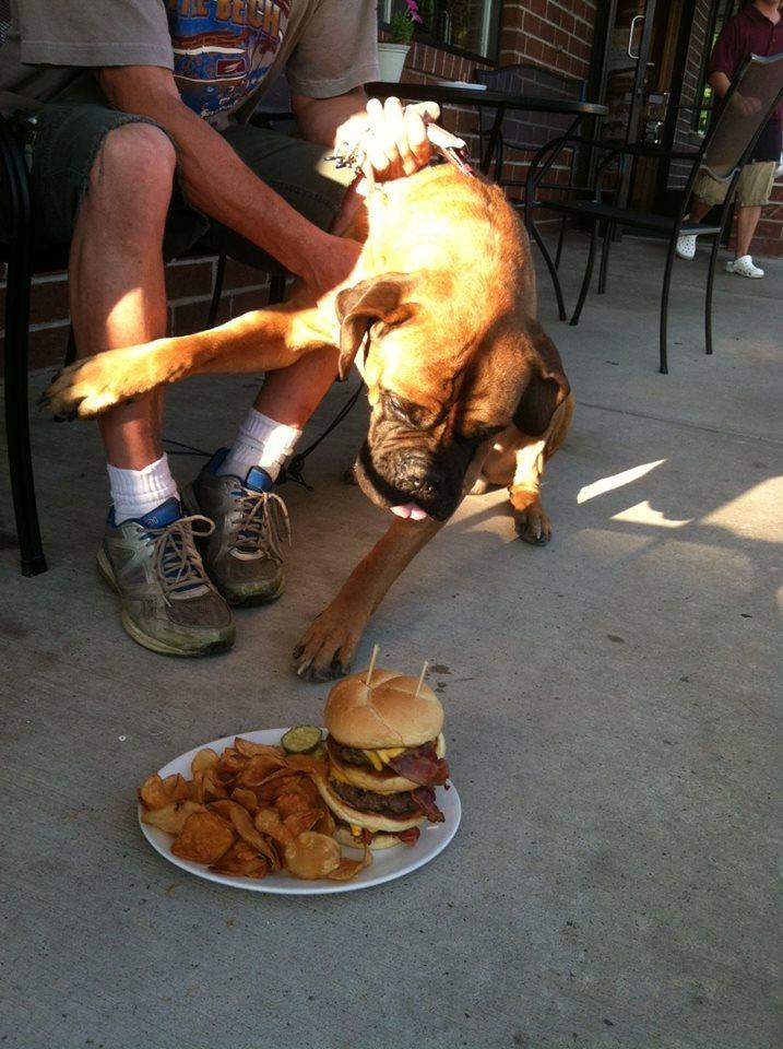 Dog Friendly Restaurants in Burton OH BringFido