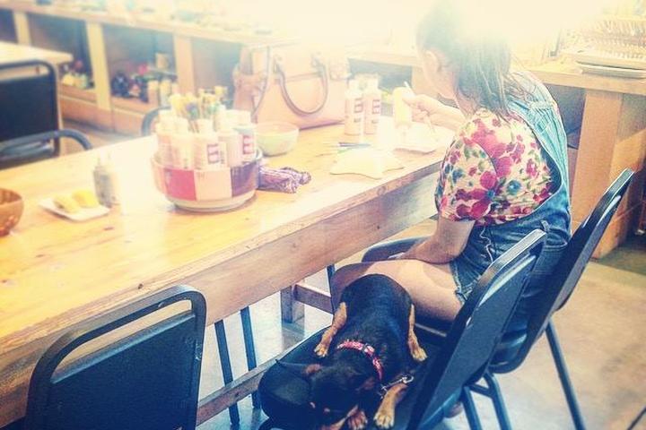 Pet Friendly Java & Clay Cafe