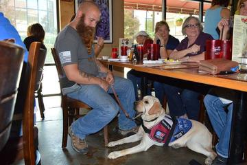 Dog Friendly Restaurants In Rockwall Tx Bringfido