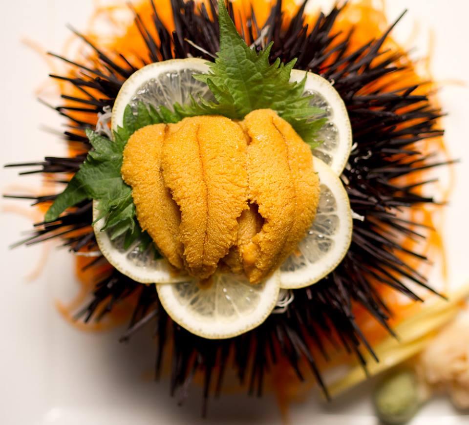 Dog Friendly Restaurants In Northridge Ca Bringfido