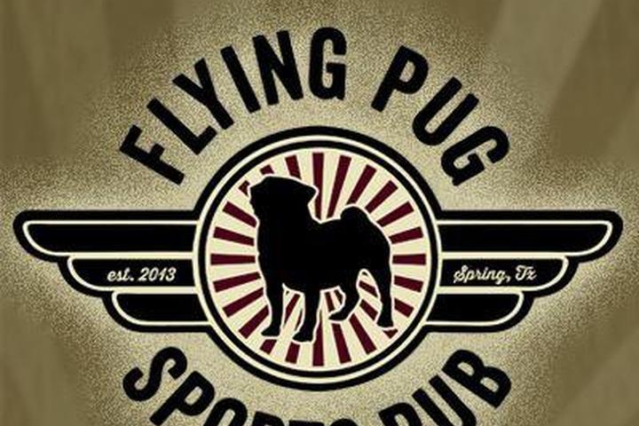 Pet Friendly Flying Pug