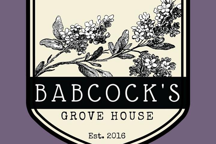 Pet Friendly Babcock's Grove House