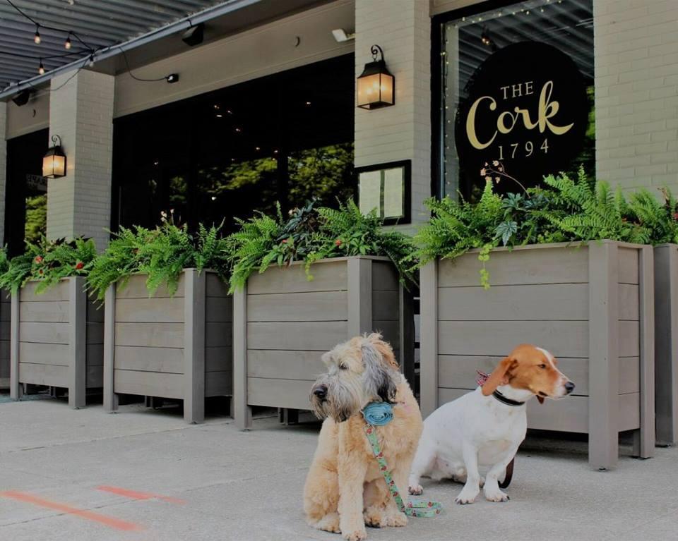 The Cork 1794 Is Pet Friendly