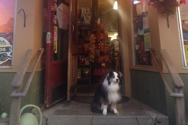 Pet Friendly Katie's Country Store