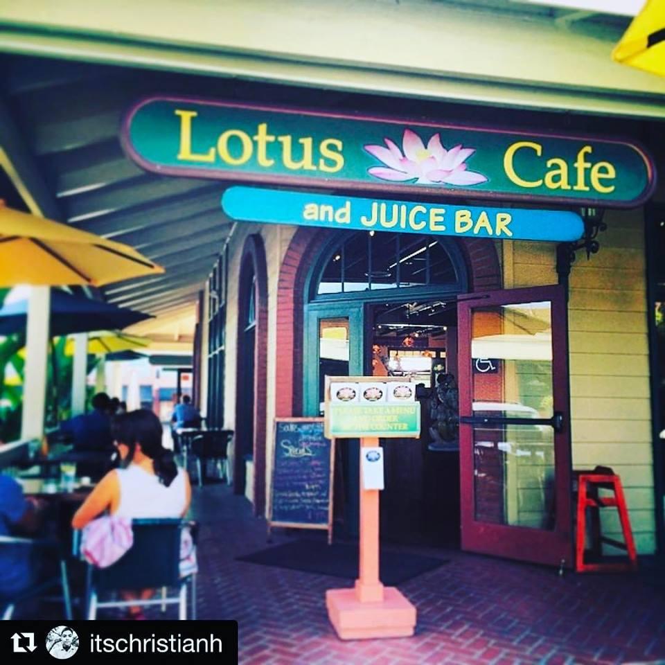 Pet Friendly Lotus Cafe and Juice Bar