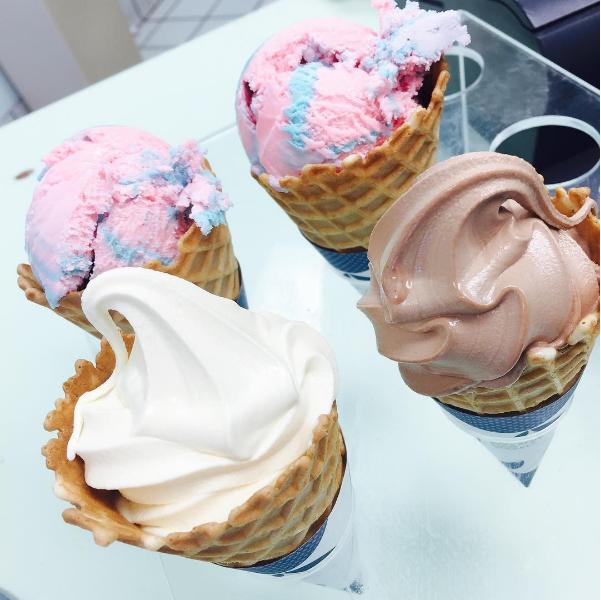 Garden City Tcby Is Pet Friendly