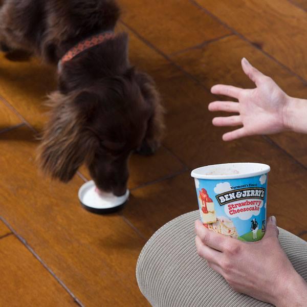 Ben and discount jerry's for dogs