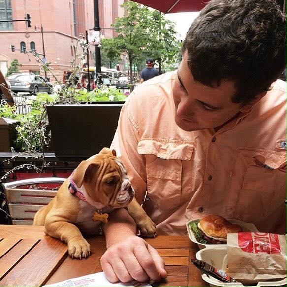 are dogs allowed in restaurants in erie county