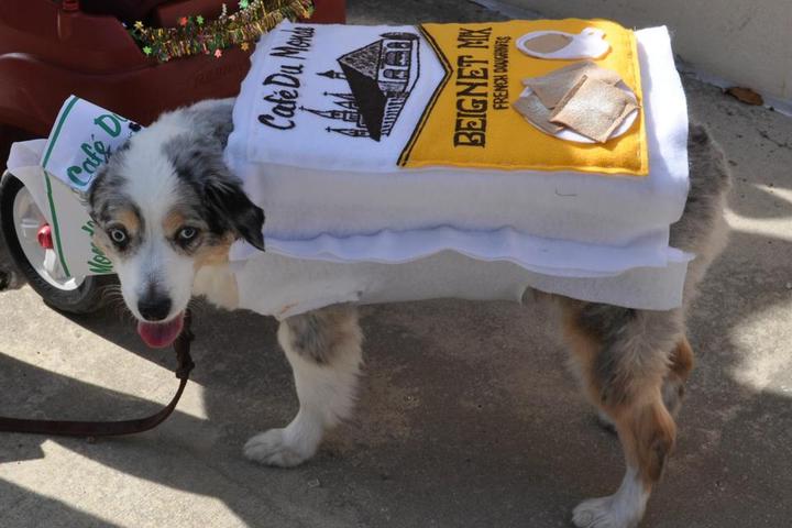 Pet Friendly Cafe du Monde