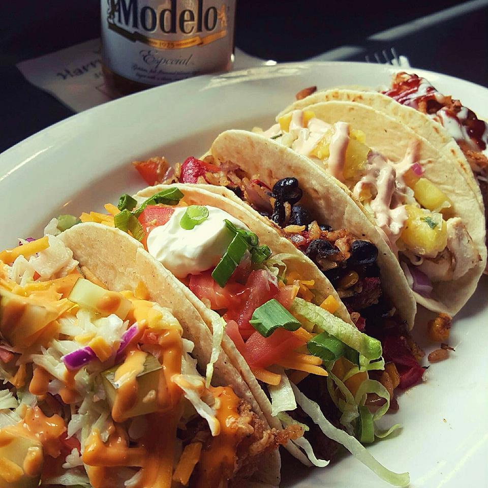 Harry Buffalo Is Pet Friendly