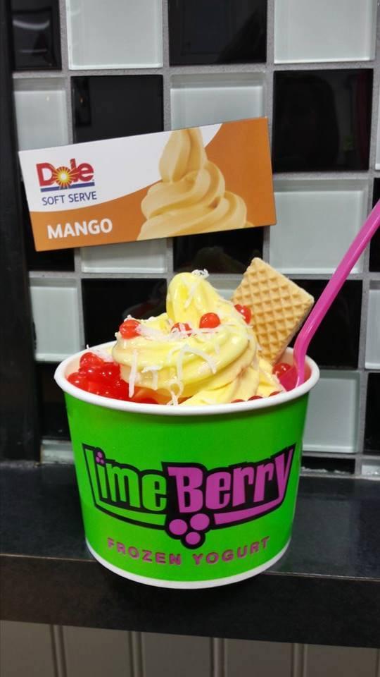 LimeBerry Frozen Yogurt Is Pet Friendly