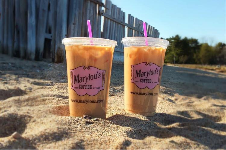 marylou's coffee is pet friendly marylou's coffee is pet