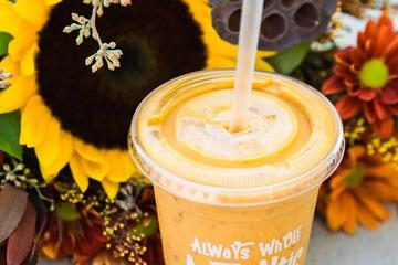 Nekter Juice Bar Is Pet Friendly