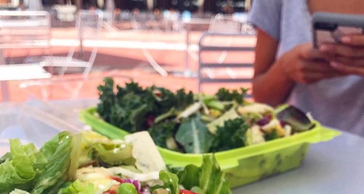 Salem S Gyros More Is Pet Friendly