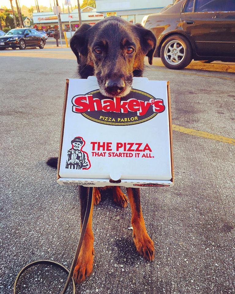 Pet Friendly Shakey's Pizza
