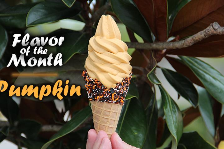 Dog Friendly Ice Cream Shops In Orlando Fl Bringfido Dog Friendly Ice Cream Shops In Orlando Fl Bringfido