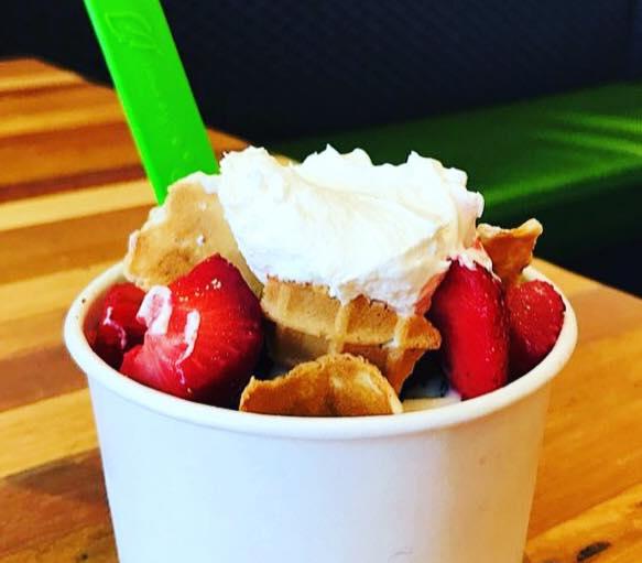 Yogurt Lab Is Pet Friendly