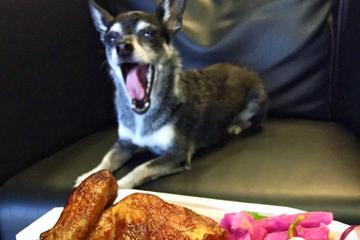 Zankou Chicken Is Pet Friendly