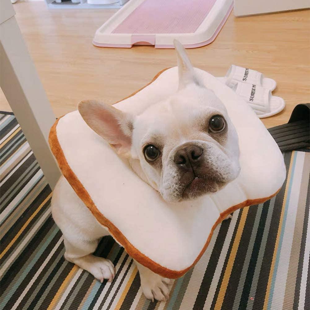 Dog cone halloween costume best sale