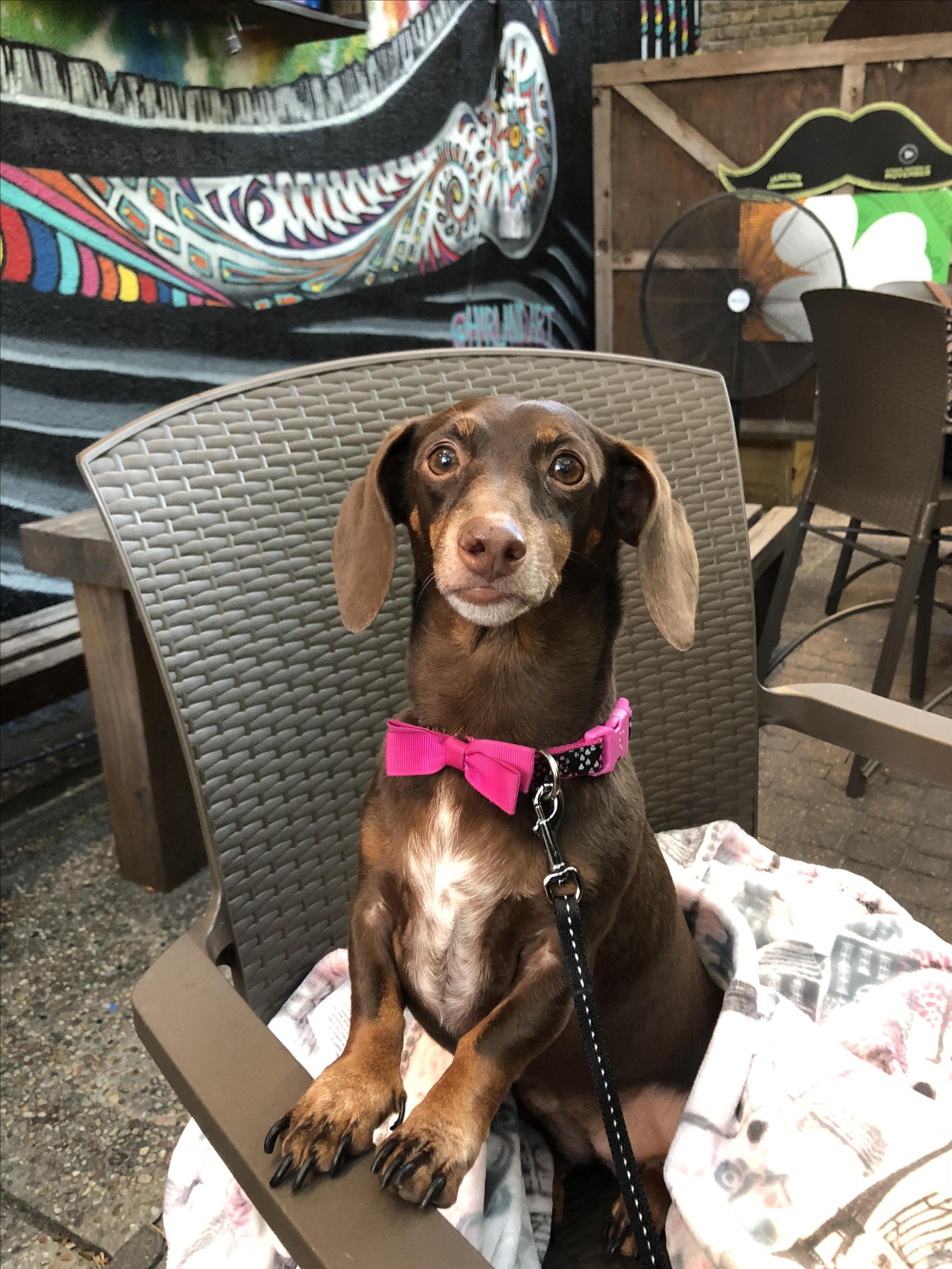 Gina
